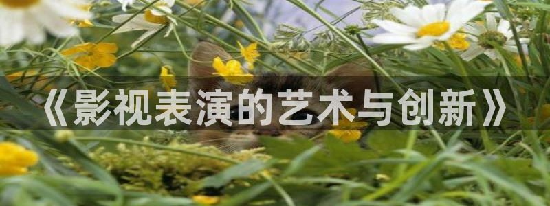 琪琪影院亚洲：《影视表演的艺术与创新》