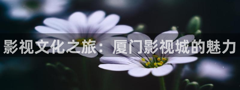 琪琪影院高清：影视文化之旅：厦门影视城的魅力