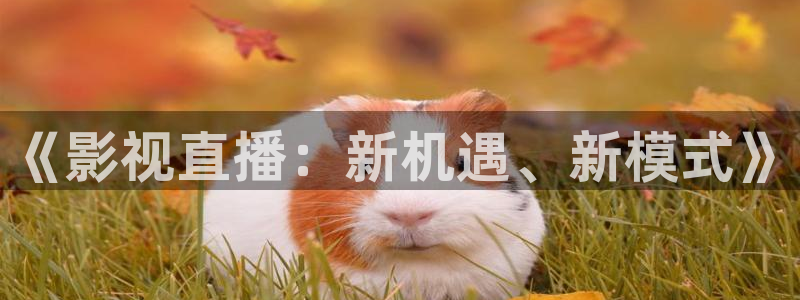 琪琪影视bay：《影视直播：新机遇、新模式》