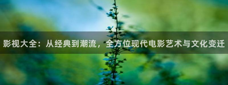 神马电影院琪琪：影视大全：从经典到潮流，全方位现代电影艺术与文化变迁