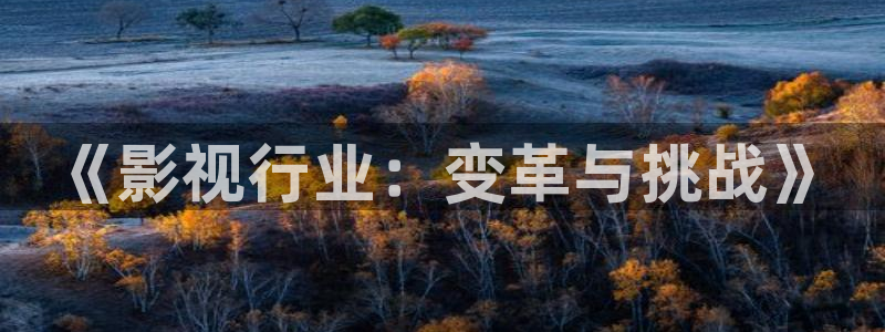 琪琪原网站影院：《影视行业：变革与挑战》