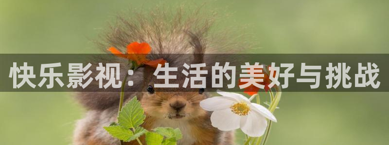 无敌神马琪琪在线观看影院：快乐影视：生活的美好与挑战