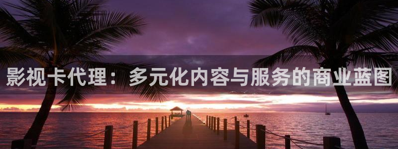 日本琪琪影院：影视卡代理：多元化内容与服务的商业蓝图