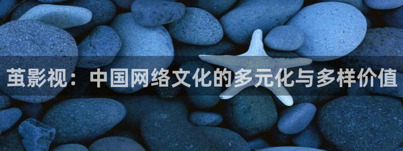 琪琪午夜伦理影院电影在线：茧影视：中国网络文化的多元化与多样价值
